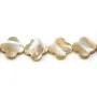 Nacre jaune en forme de trèfle 18mm x 2pcs