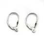 Dormeuse avec fleur de lys, Argent 925 17x19mm x 2pcs