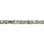 Jaspe de tache verte, en forme de cube, 4mm x 40cm