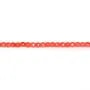 Bambou mer teinte orange Rond Facette 3mm x 40cm 