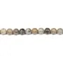 Fossil coral ball 6mm x 10pcs