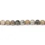 Fossil coral ball 8mm x 10pcs