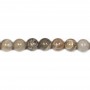 Fossil coral ball 10mm x 40cm