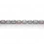 Perle de culture d'eau douce grise, ovale, 6-6.5mm x 39cm