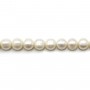 Perles d'eau douce blanches semi rondes 8-9mm x 10pcs