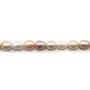 Perles de culture d'eau douce, multicolore, ovale, 11-13mm x 40cm
