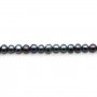 Perles de culture d'eau douce, bleue foncée, ovale, 5.5-6mm x 40cm