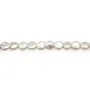 Perles d'eau douce blanc argenté en rond plat 11mm x 2pcs