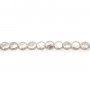 Perles de culture d'eau douce, blanche , ronde plate, 11mm x 40cm