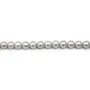 Grey round freshwater pearl 10mm x 1pc