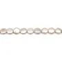 Perles de culture d'eau douce, blanche, ronde, 14mm x 1pc