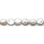 Perles de culture d'eau douce, blanche, ronde plate 12-14mm x40cm