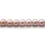 Perles d'eau Douce Mauve Rond  7-8mmX 40 cm 