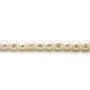 Perles de culture d'eau douce, blanche, semi-ronde, 5.5-6.5mm x 6pcs