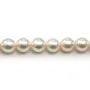 Perles culture AKOYA japonais rond  8-9mm  AAA x 40cm