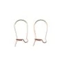 Dormeuse 8x16x0.51mm, en gold-filled 14 carats rosé x 4pcs