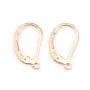 Gold filled rosé 14 carats dormeuse x 2pcs