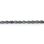 Perles de culture d'eau douce, bleu fonce, olive, 3-4mm x 36cm