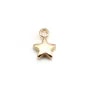 Charm star by "flash" gold on brass 7x10mm x 10pcs
