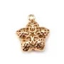  Star by "flash" Gold on brass 14x16mm x1pc