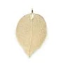 Véritable feuille d'arbre naturelle plaquée par "flash" or sur laiton 34-45 x 65-85mm x 1pc