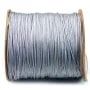 Fil polyester grise claire 1 mm x 2 m
