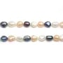 Sautoir en perles d'eau douce multicolore, de forme baroque, mesurant 8x10mm x 80cm x 1pc