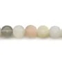 Pierre de lune multicolore rond plat facetté 6mm x 10pcs