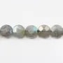 Labradorite Ronde Plate Facette 10mm x  4pcs
