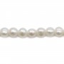 Perles de culture d'eau douce, blanche, ovale/irrégulière, 7-8mm x 40cm