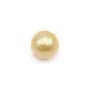 Perle des mers du Sud, champagne, ronde, 9.5-10mm x 1pc
