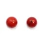 Bambou de mer rouge semi-percé, rond, 12mm x2pcs