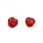Cabochon Bambou mer teinté fleur semi-percés 10mm x 2pcs