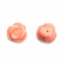 Bambou de mer rose half-percée, fleur, 12mm x1pc