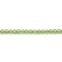 Péridot rond 2mm x 40cm
