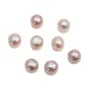 Perle de culture d'eau douce half-percée, mauve, bouton, 4-4.5mm x 4pcs