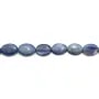 Cyanite ovale 12x16mm x 40cm