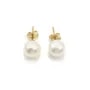 Boucle d’oreille en gold filled & perles de culture d'eau douce x 2pcs