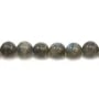 Labradorite Ronde 10mm x 4pcs