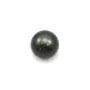 Perla cultivada de Tahití, redonda, 12-13mm, D x 1pc