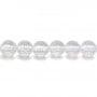 Cristal de roche Ronde Facette 10mm x 40cm