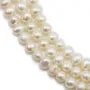 White oval freshwater pearls on thread 4-5mm x 40cm