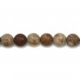 Wood opalite matte round 10mm x 40cm