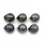 Tahitian pearl half round 12.5x13.5mm x 6pcs