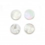 Cabochon Weißes Perlmutt rund flach 12mm x 1St