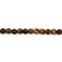 Oeil de tigre Rond 4mm x 20 st