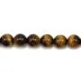 Oeil de tigre Rond 8mm x 10 pcs