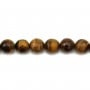 Oeil de tigre Rond Facette 14mm x 40cm