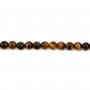 Oeil de tigre Rond 4mm x 40cm