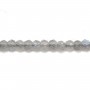 Labradorite rondelle facettée sur fil 2x4mm x 40cm